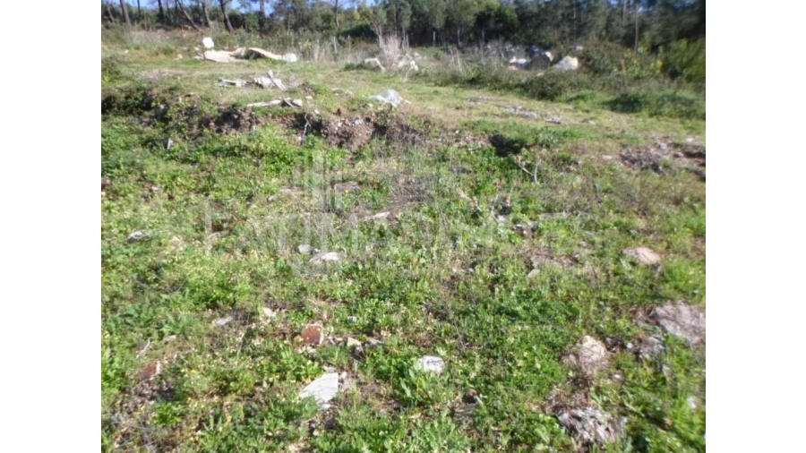 Terreno para Venda em Vila Praia de Ancora Foto 5