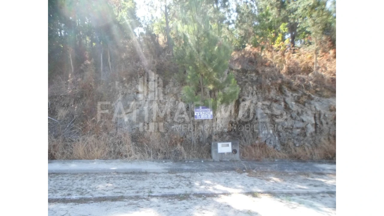 Terreno para Venda em Ancora Foto 3