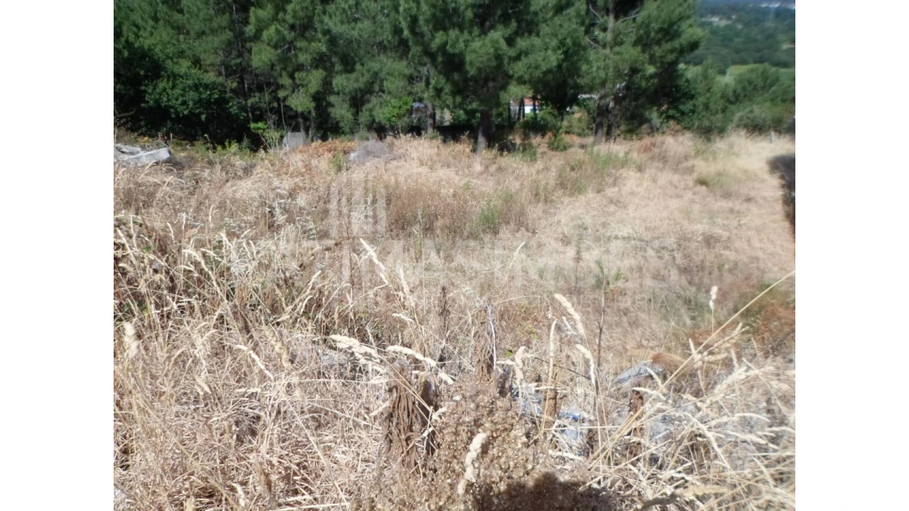 Terreno para Venda em Ancora Foto 5