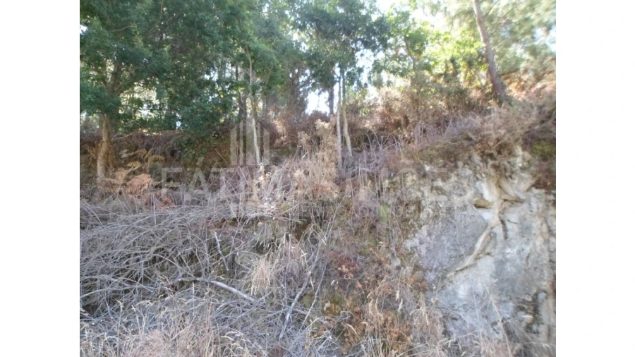 Terreno para Venda em Ancora Foto 2