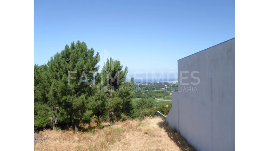 Terreno para Venda em Ancora Foto 4