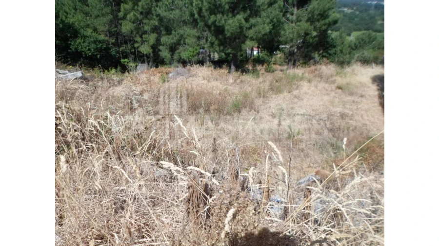 Terreno para Venda em Ancora Foto 5