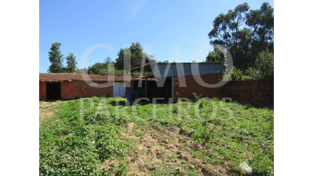 Moradia T3 para Venda em Angeja Foto 2