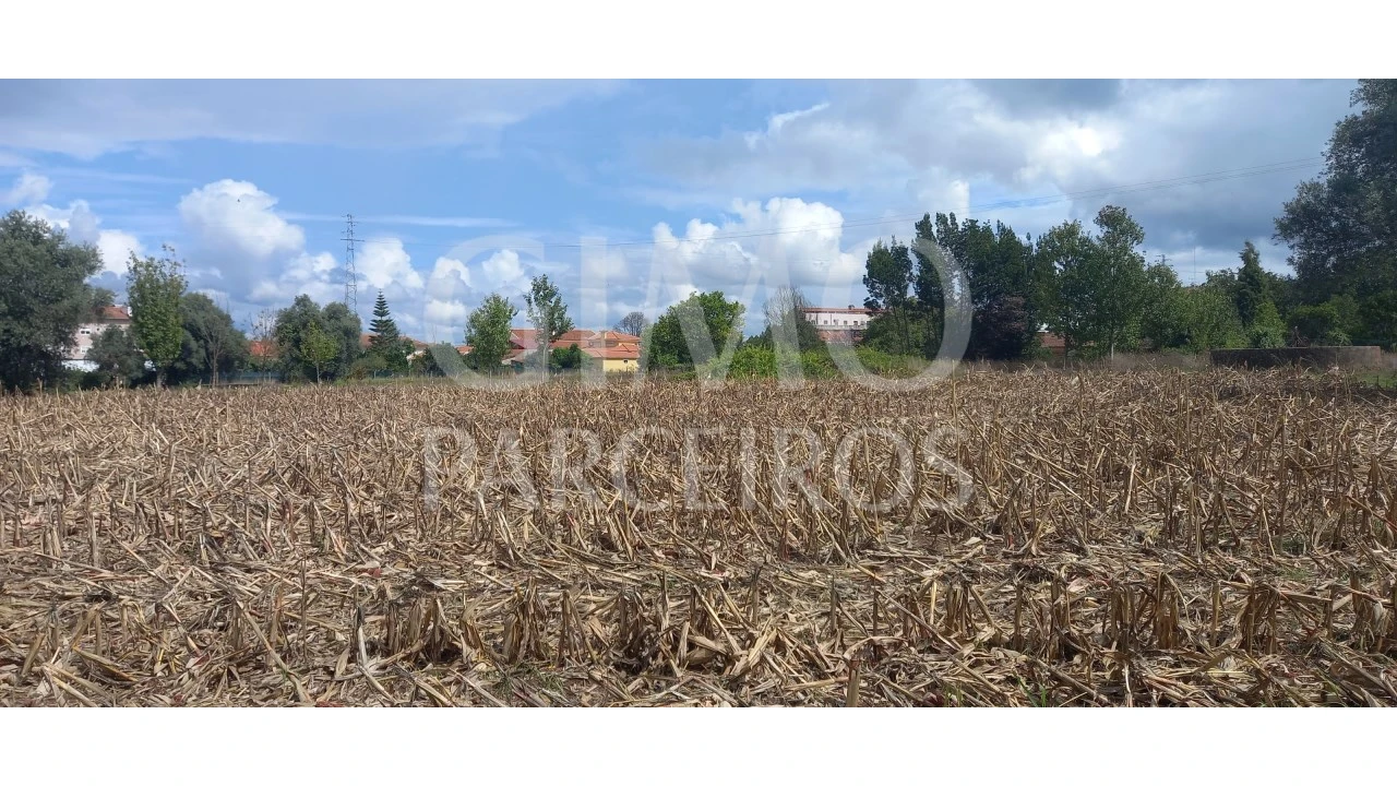 Terreno para Venda em Oiã Foto 2