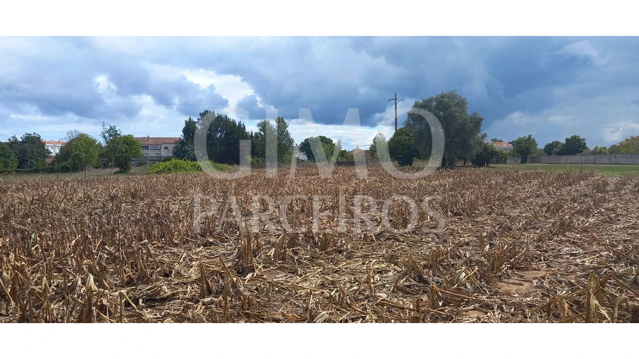 Terreno para Venda em Oiã Foto 4