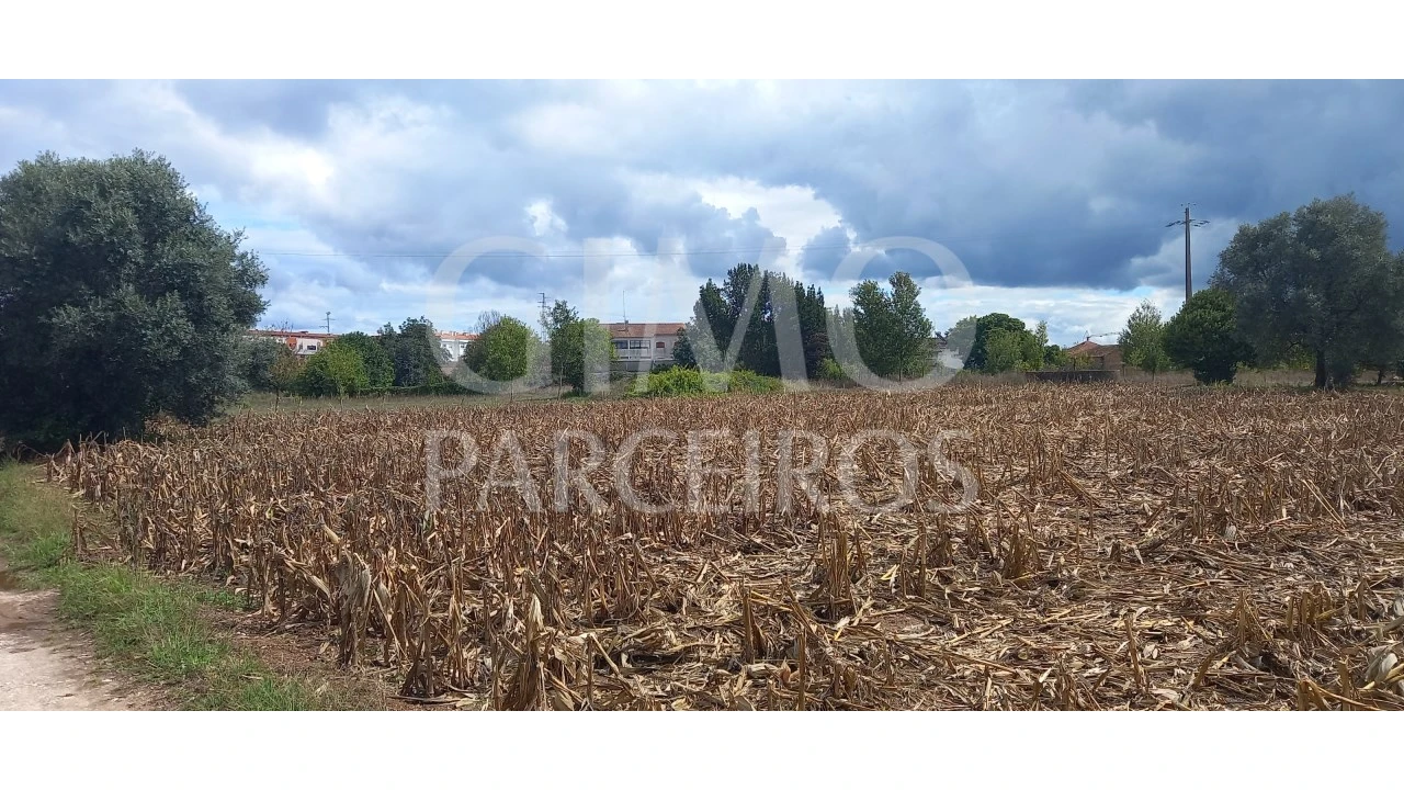 Terreno para Venda em Oiã Foto 5