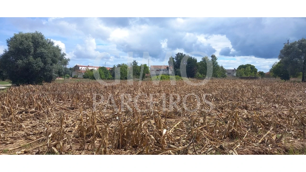 Terreno para Venda em Oiã Foto 6