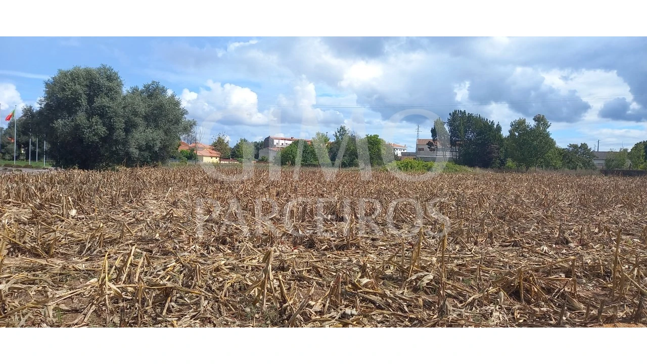 Terreno para Venda em Oiã Foto 7