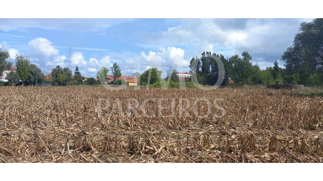 Terreno para Venda em Oiã Foto 9