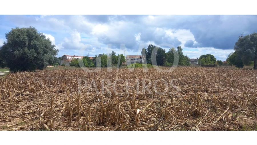 Terreno para Venda em Oiã Foto 6