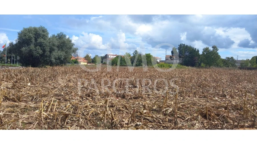 Terreno para Venda em Oiã Foto 7