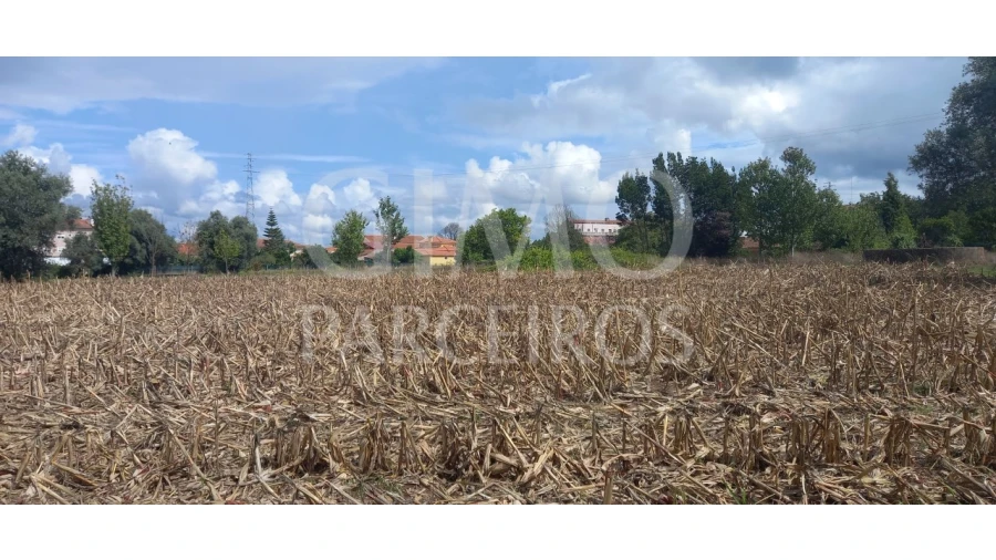 Terreno para Venda em Oiã Foto 8