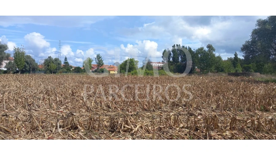 Terreno para Venda em Oiã Foto 9