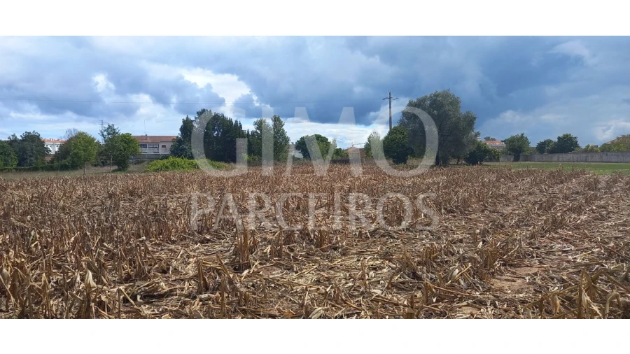 Terreno para Venda em Oiã Foto 10