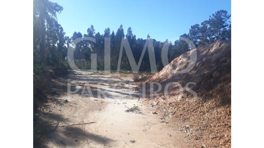 Armazém para Venda em Barrô e Aguada de Baixo Foto 4