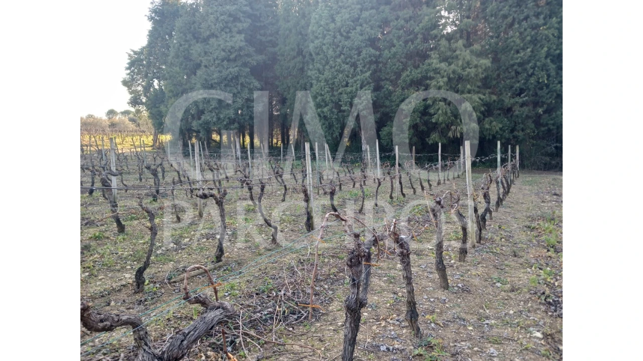 Terreno para Venda em Casal Comba Foto 6