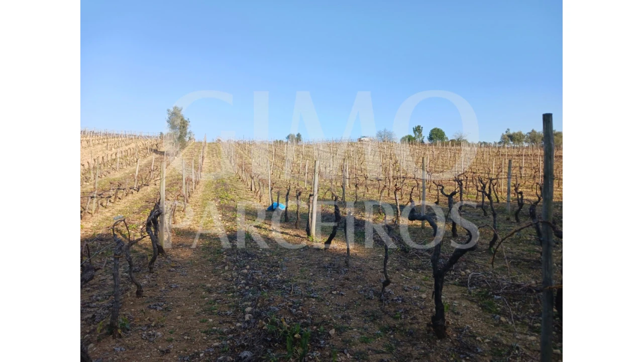 Terreno para Venda em Casal Comba Foto 2