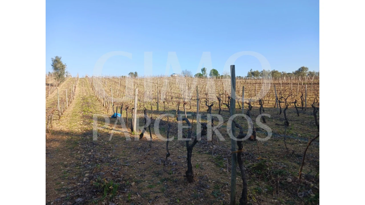 Terreno para Venda em Casal Comba Foto 1