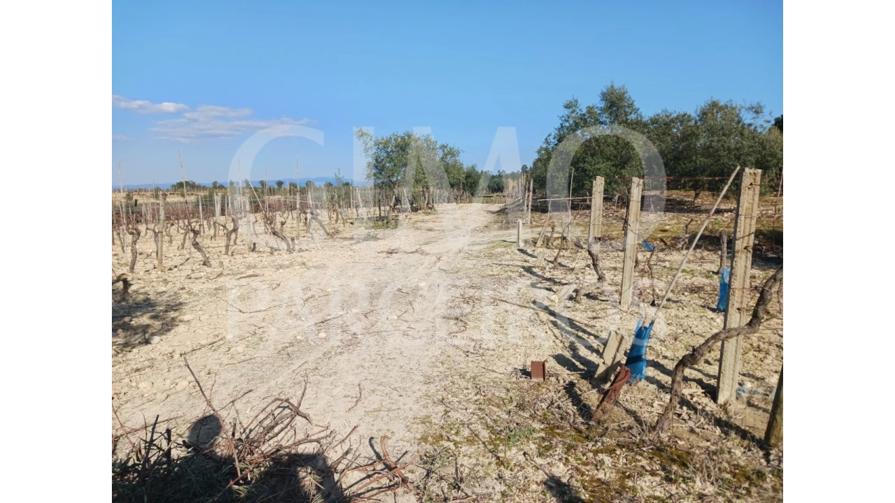 Terreno para Venda em Casal Comba Foto 12