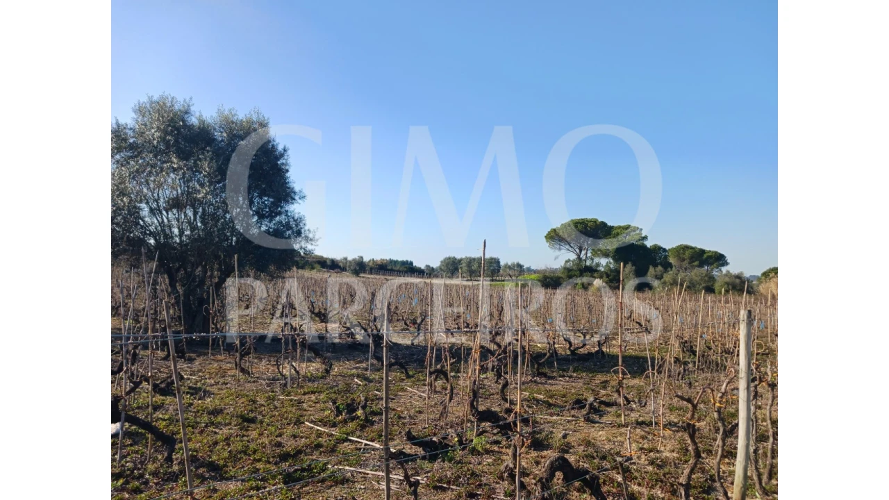 Terreno para Venda em Casal Comba Foto 5