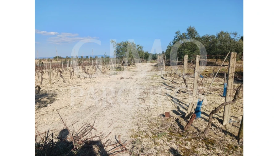 Terreno para Venda em Casal Comba Foto 12