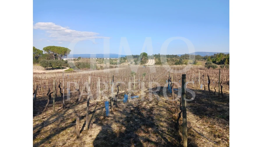Terreno para Venda em Casal Comba
