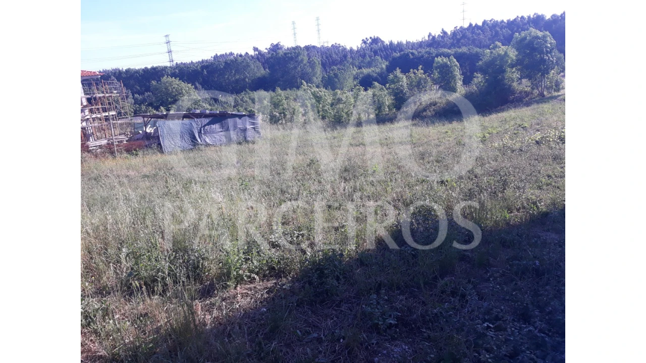 Terreno para Venda em Sangalhos Foto 3