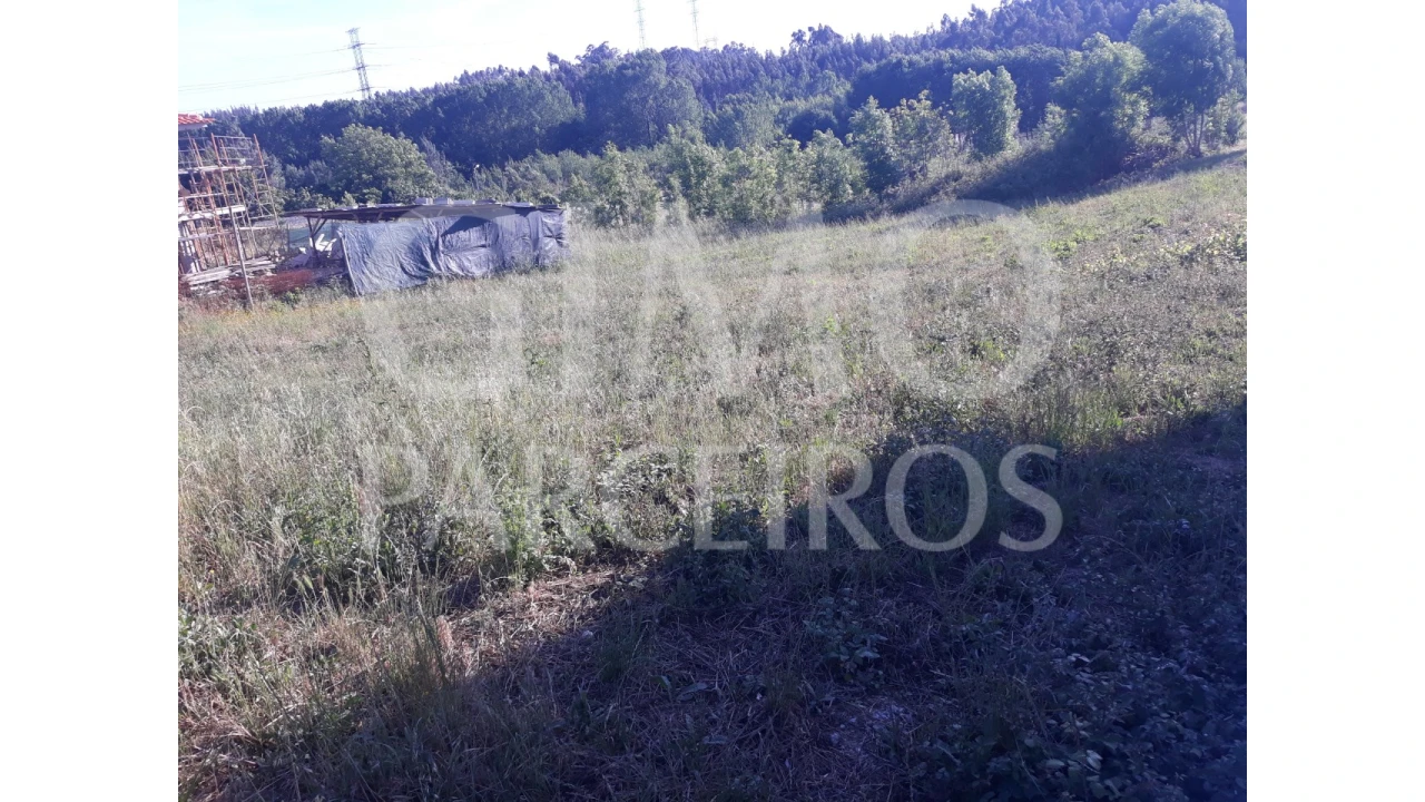 Terreno para Venda em Sangalhos Foto 4