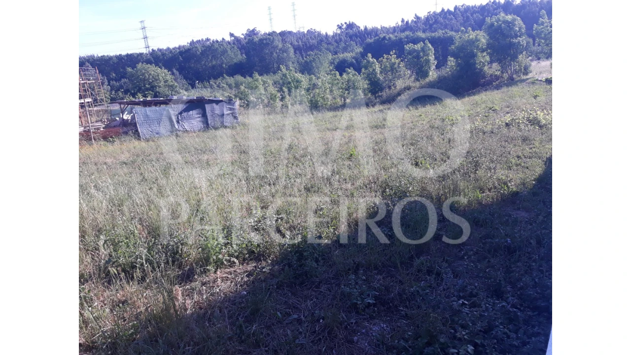 Terreno para Venda em Sangalhos Foto 10