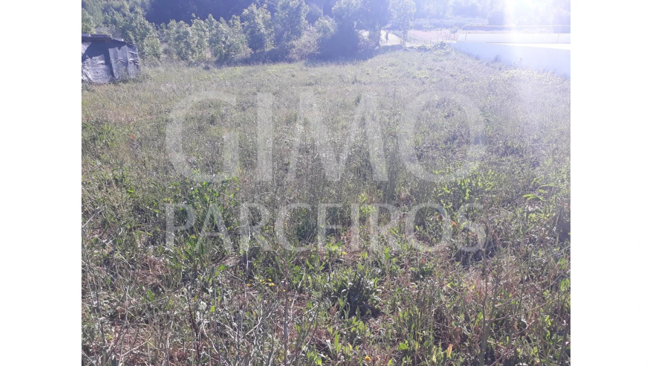 Terreno para Venda em Sangalhos Foto 11