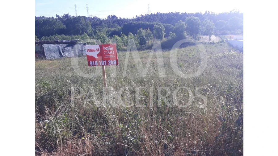 Terreno para Venda em Sangalhos Foto 2