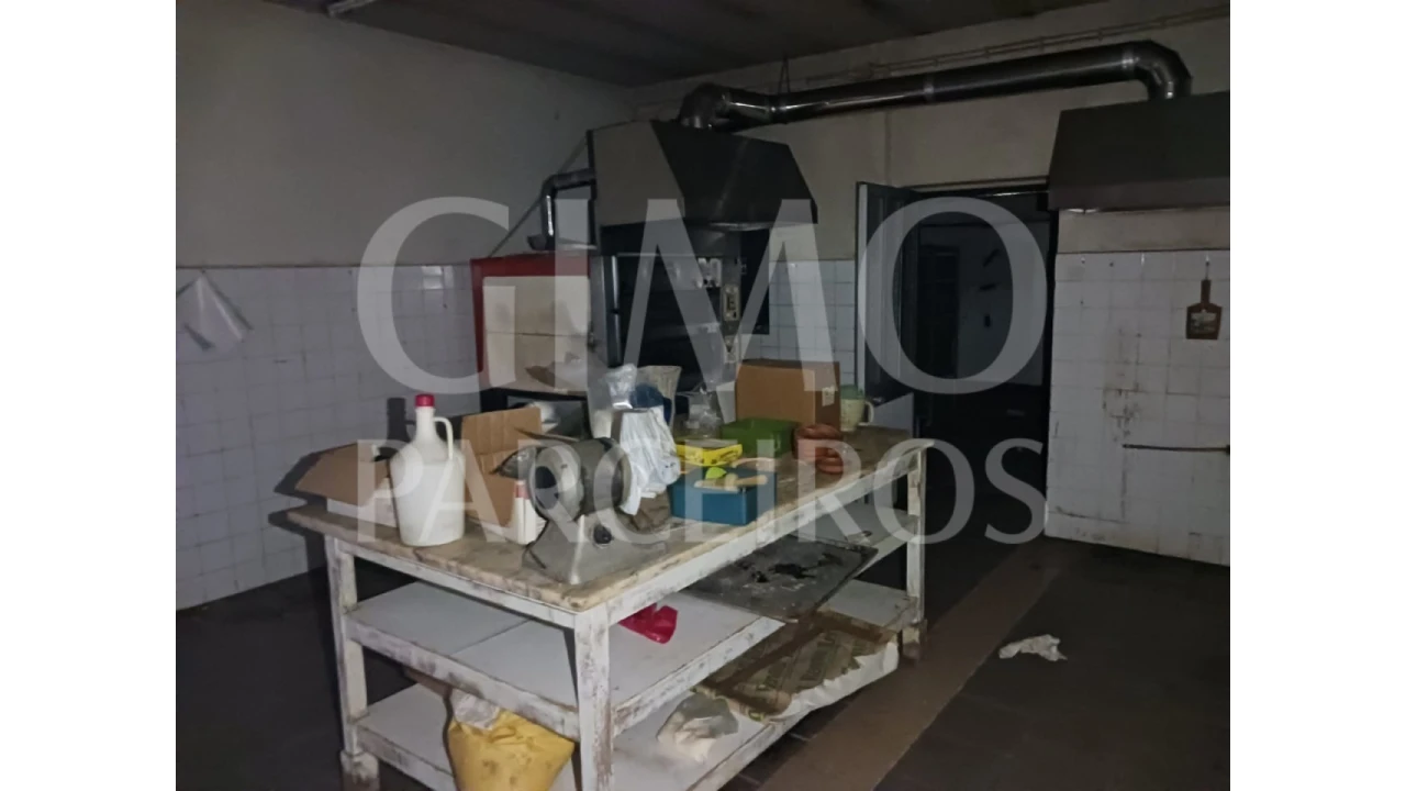 Loja para Venda em Bustos, Troviscal e Mamarrosa Foto 19