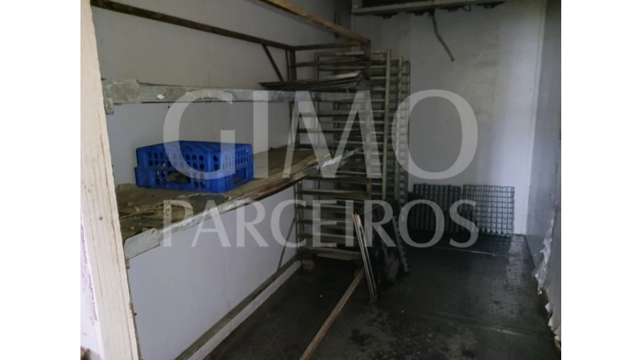 Loja para Venda em Bustos, Troviscal e Mamarrosa Foto 11