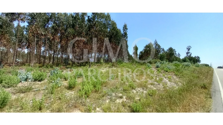 Terreno para Venda em Palhaça Foto 1