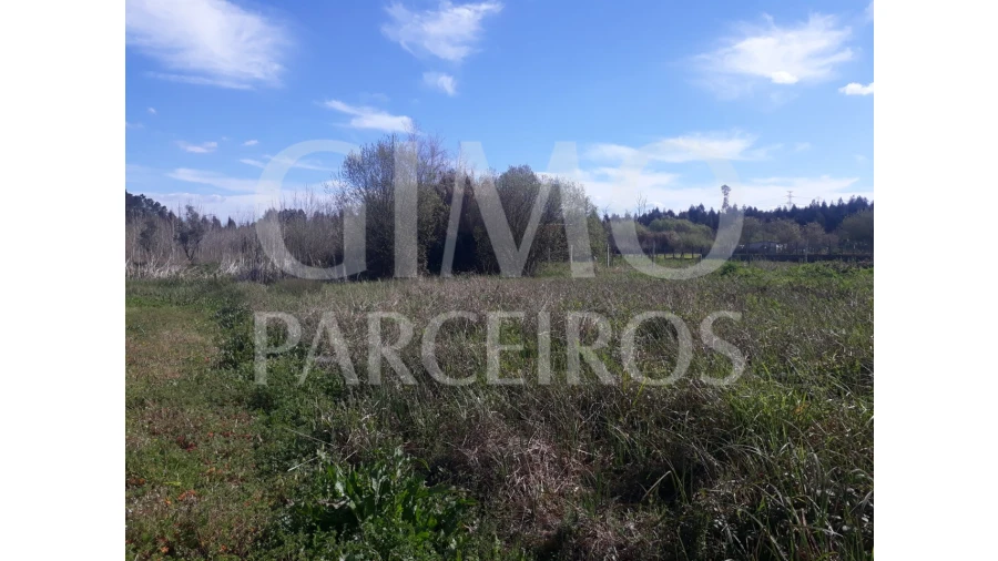 Terreno para Venda em Sangalhos Foto 1