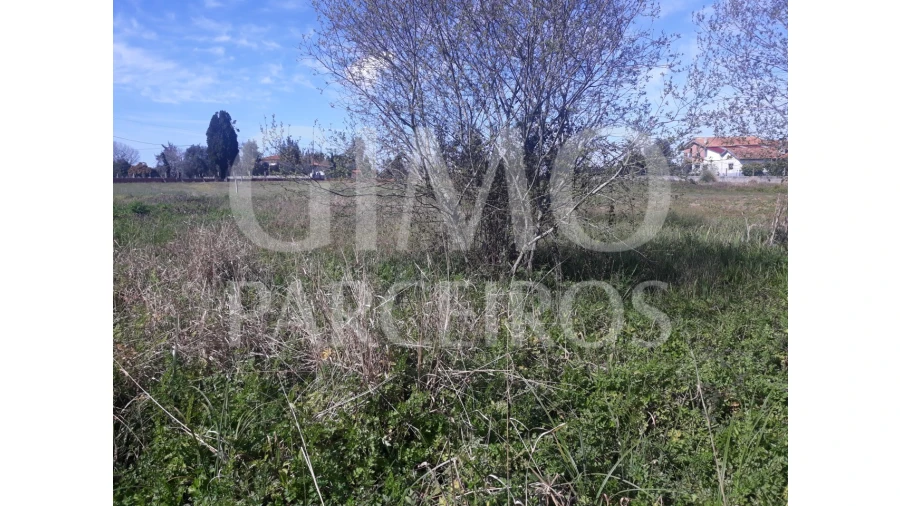 Terreno para Venda em Sangalhos Foto 2