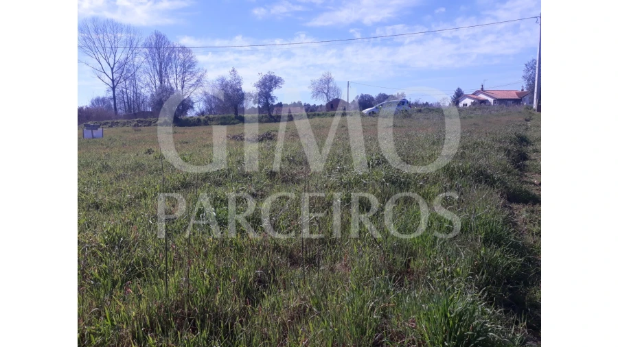 Terreno para Venda em Sangalhos Foto 5