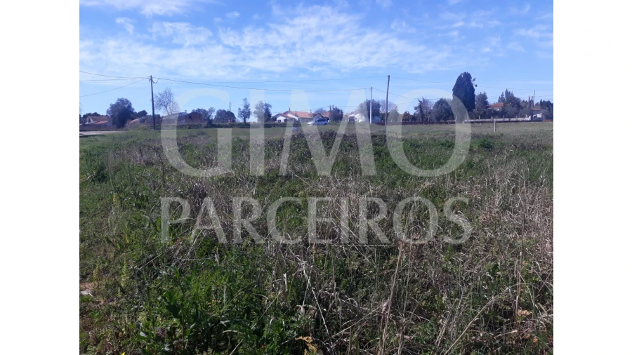 Terreno para Venda em Sangalhos Foto 6