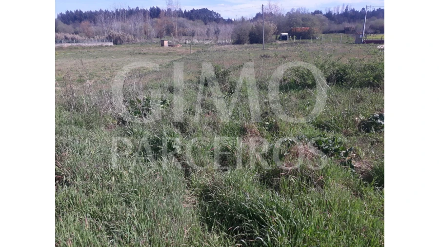 Terreno para Venda em Sangalhos Foto 7