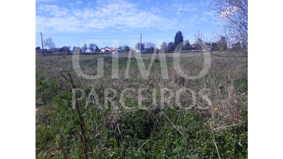 Terreno para Venda em Sangalhos Foto 8