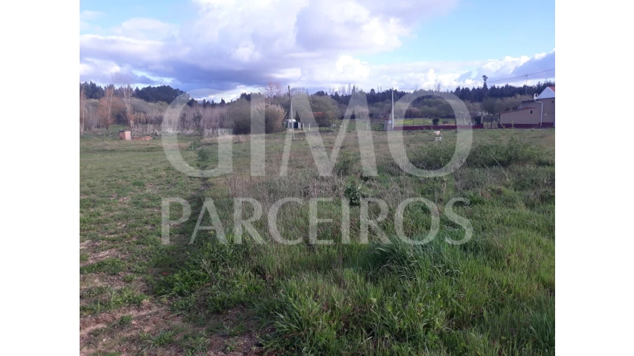 Terreno para Venda em Sangalhos Foto 11