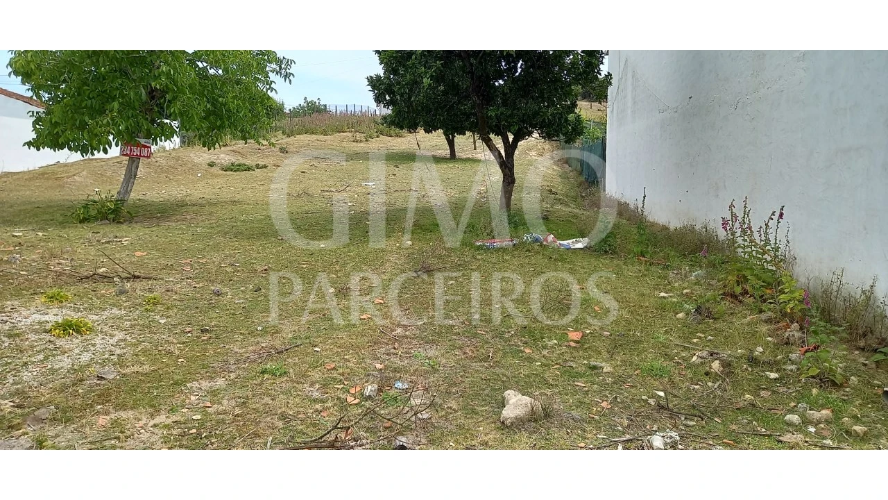 Terreno para Venda em Fermentelos Foto 3