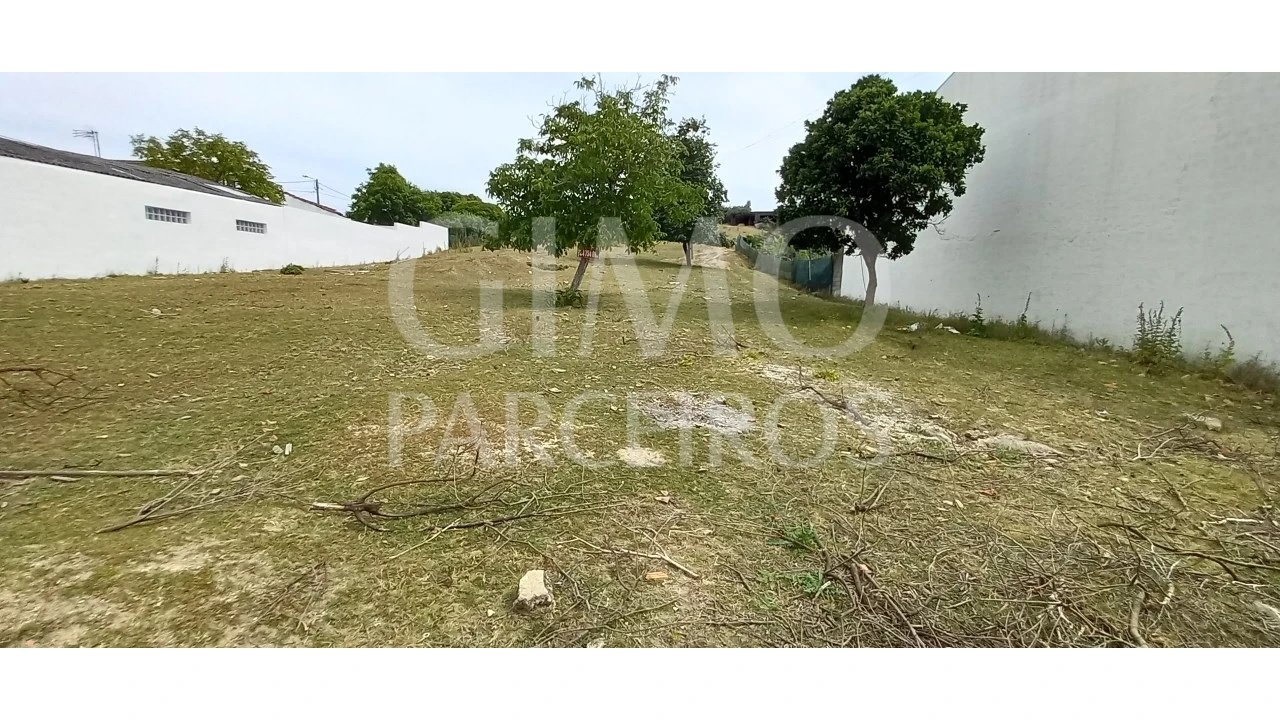 Terreno para Venda em Fermentelos Foto 4