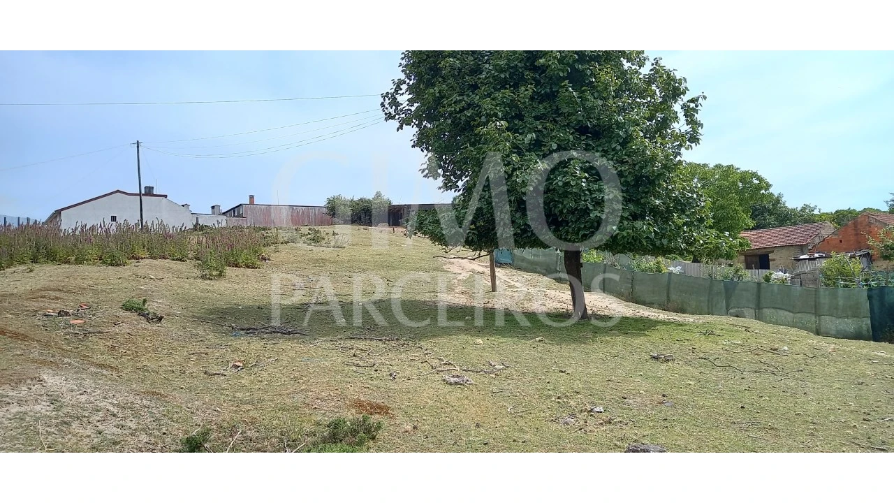 Terreno para Venda em Fermentelos Foto 5
