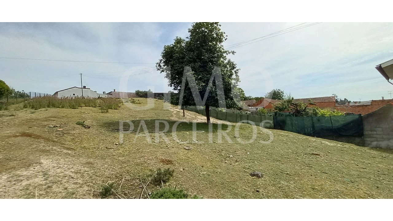 Terreno para Venda em Fermentelos Foto 7