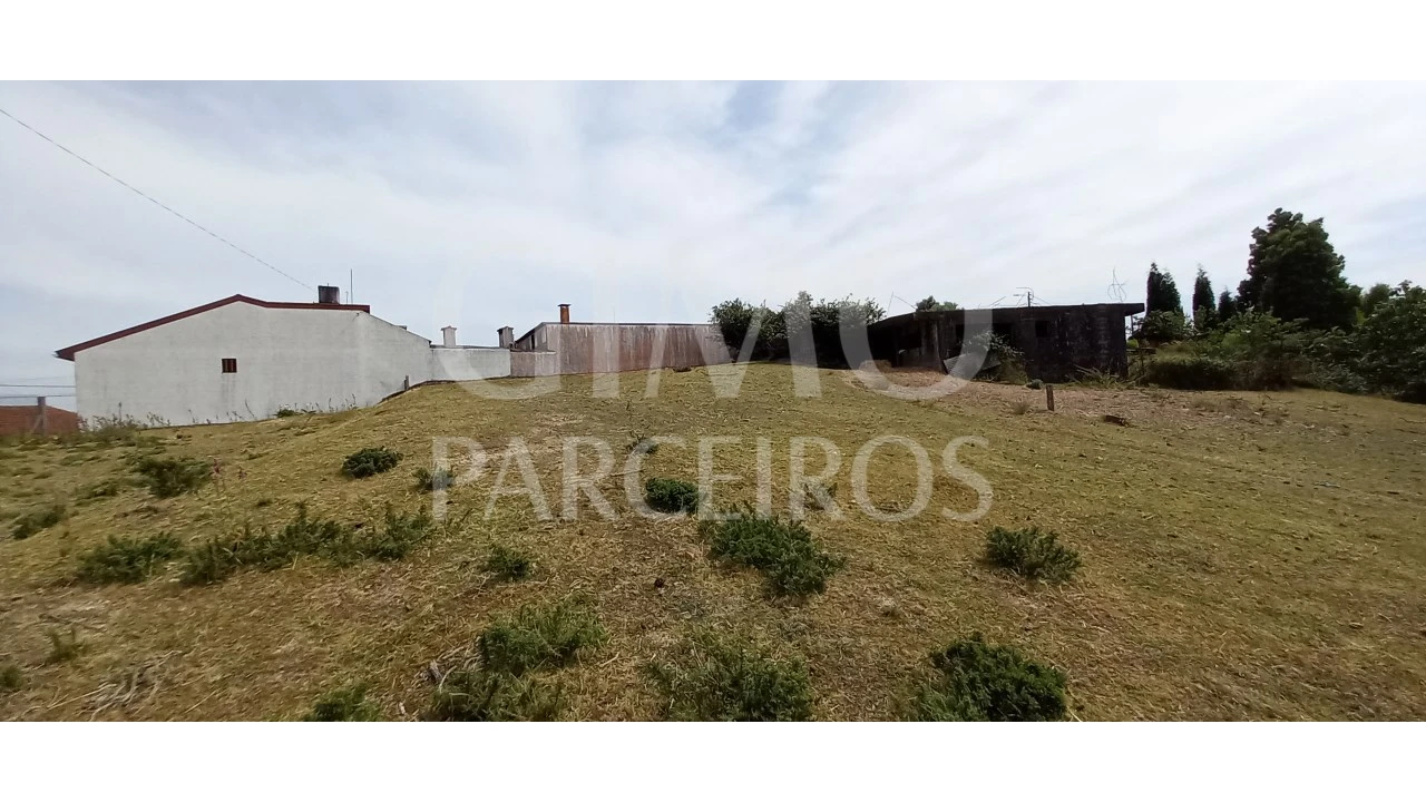 Terreno para Venda em Fermentelos Foto 10