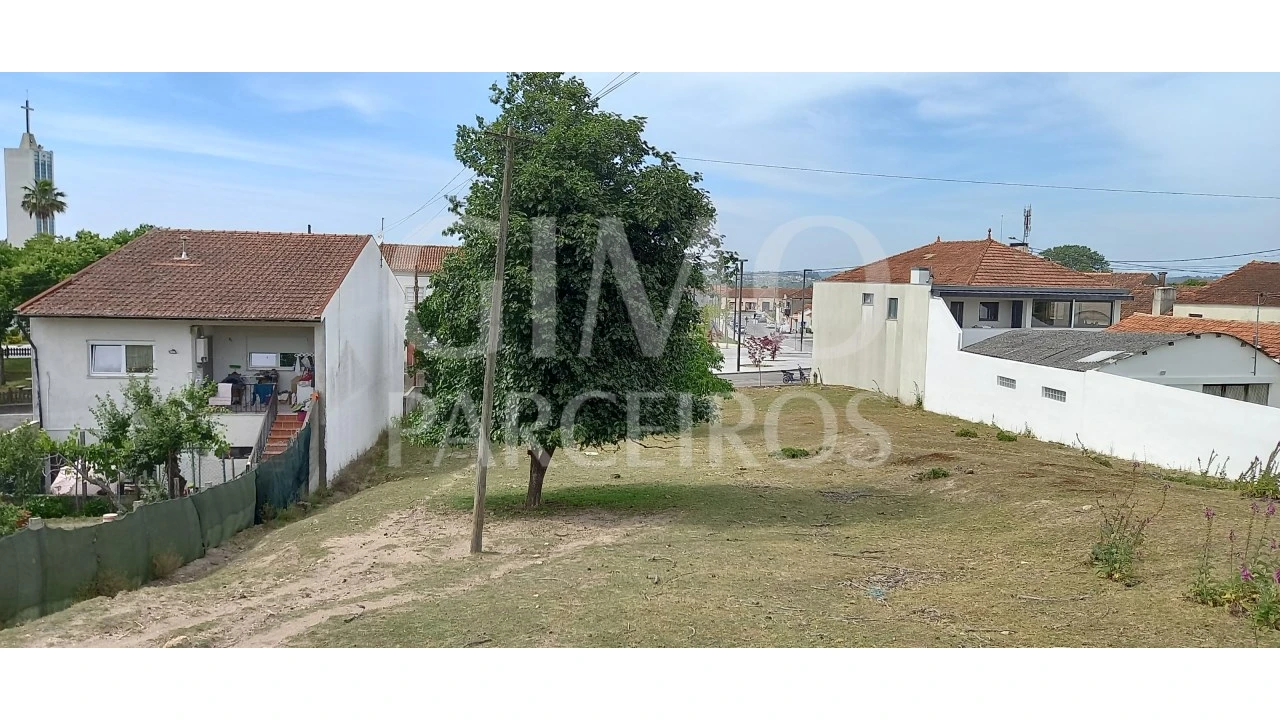 Terreno para Venda em Fermentelos Foto 12