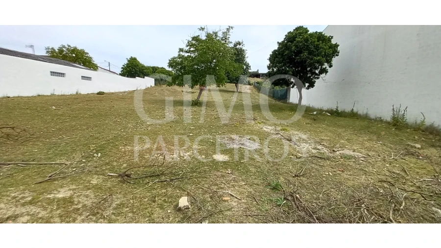 Terreno para Venda em Fermentelos Foto 4