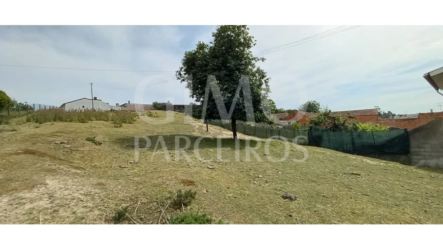 Terreno para Venda em Fermentelos Foto 7