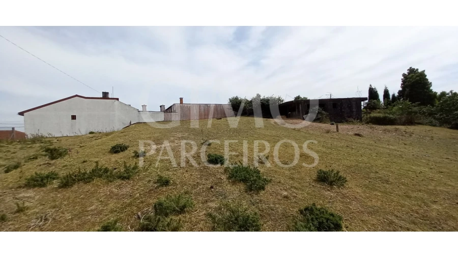 Terreno para Venda em Fermentelos Foto 10